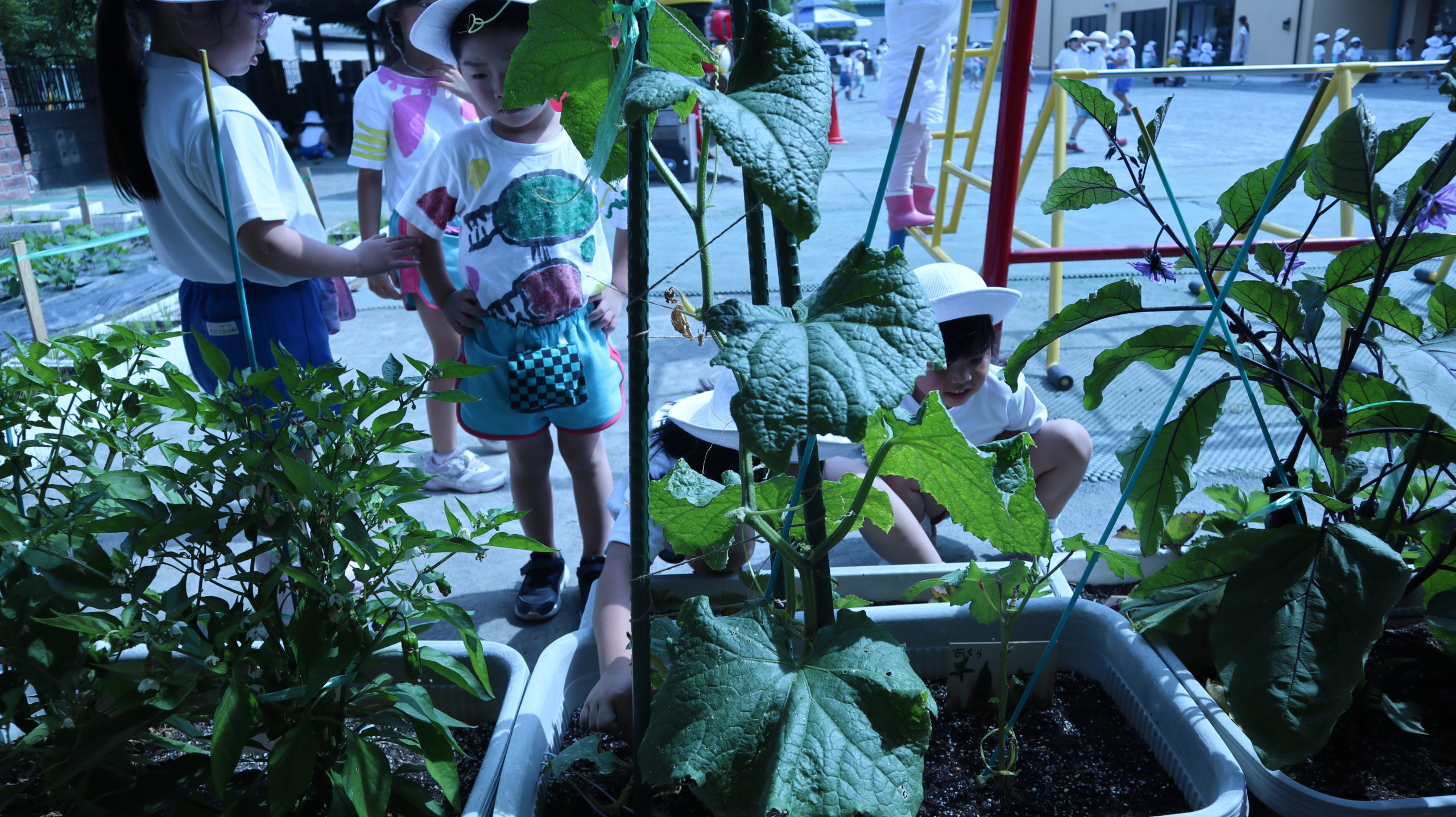 コロナ禍で 子どもたちに身につけてもらいたい力とは 藤田 美保 Note